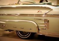Impala Detai